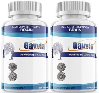 Gavvia Brain